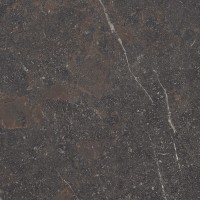 ROYAL BROWN SP/100X100X0,8/R (1 сорт) PERONDA фото 4