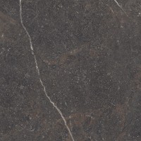 ROYAL BROWN SP/100X100X0,8/R (1 сорт) PERONDA фото 3