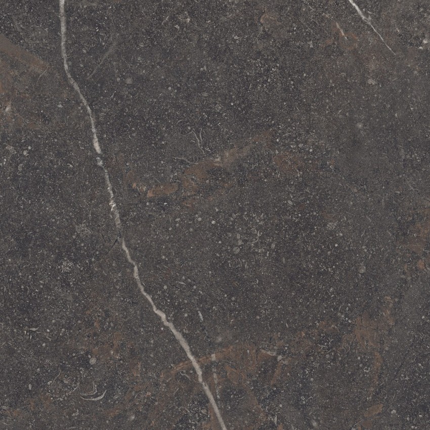 ROYAL BROWN SP/100X100X0,8/R (1 сорт) PERONDA фото 3