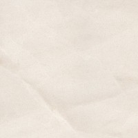 100381175 LIMESTONE BONE L 120X120(A) PORCELANOSA фото 1