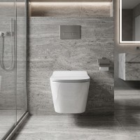DLI30401111W Linea Підвісний безобідковий унітаз з кришкою soft-close та Vortex Flush, білий (1 сорт)