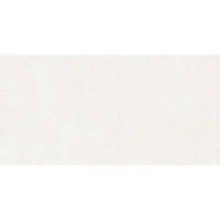 60X120(T)C CORE WHITE PAMESA фото 1