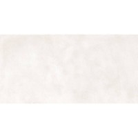 60X120(T)C CORE PRO WHITE PAMESA фото 3