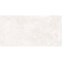 60X120(T)C CORE PRO WHITE PAMESA фото 1