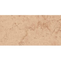 60X120(T)C PERLINO ROSA PAMESA фото 2