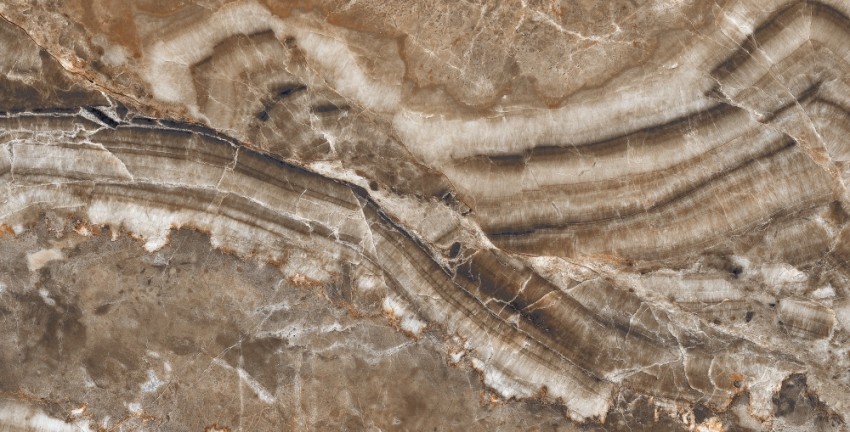 QORTECIA BROWN HG POL (1 сорт) MEGAGRES фото 4