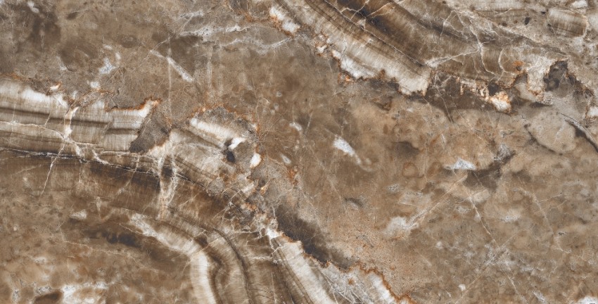 QORTECIA BROWN HG POL (1 сорт) MEGAGRES фото 3