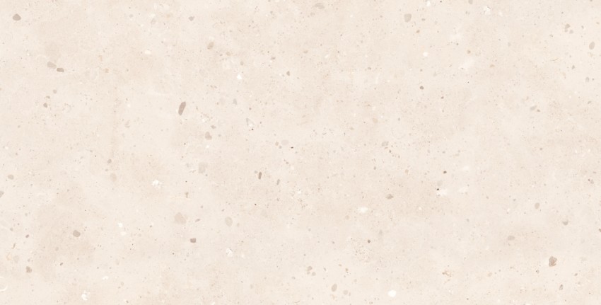 CEPPO CREMA SUGAR (1 сорт) MEGAGRES фото 2