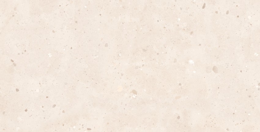 CEPPO CREMA SUGAR (1 сорт) MEGAGRES фото 4