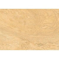 GRES NEOSIMPLE LIGHT BEIGE RECT CERRAD фото 2