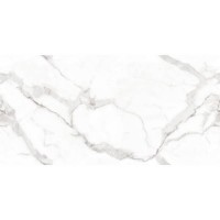 VENATO BIANCO POLISHED ### MEGAGRES фото 3