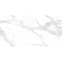 VENATO BIANCO POLISHED ### MEGAGRES фото 1