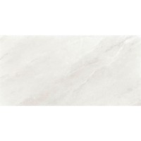 60x120 PRINCE WHITE (1 сорт) PAMESA фото 1