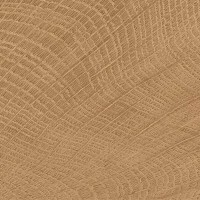 ENJE WCI WALNUT 100X100 EMIL CERAMICA фото 1