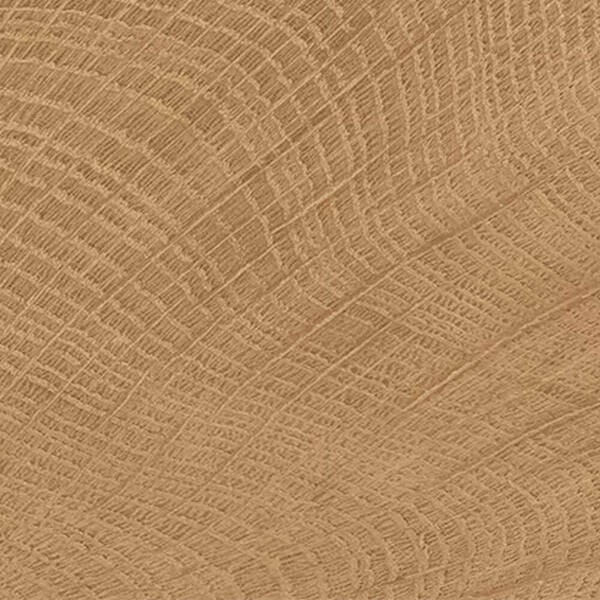 ENJE WCI WALNUT 100X100 EMIL CERAMICA фото 1