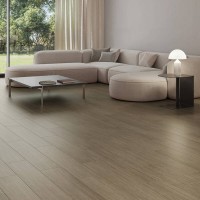 SL DAGEN ROBLE (PRC)30X180 RC Argenta