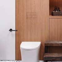 E10052 Клавіша змиву для  Geberit Sigma (1 сорт) EDPLIT