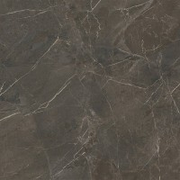 100388449 BRESCIA MOKA L 120X120(A) PORCELANOSA фото 3