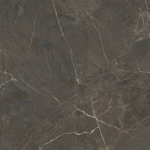 100388449 BRESCIA MOKA L 120X120(A) PORCELANOSA фото 2