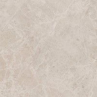 100388443 BRESCIA BONE L 120X120(A) PORCELANOSA фото 2