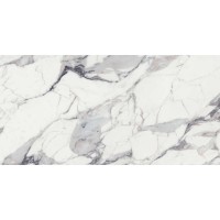 769859 ORIGINES DE REX ARGENT GLOSSY  RET (1 сорт) FLORIM GROUP фото 1