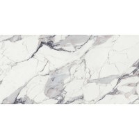 769859 ORIGINES DE REX ARGENT GLOSSY  RET FLORIM GROUP фото 1