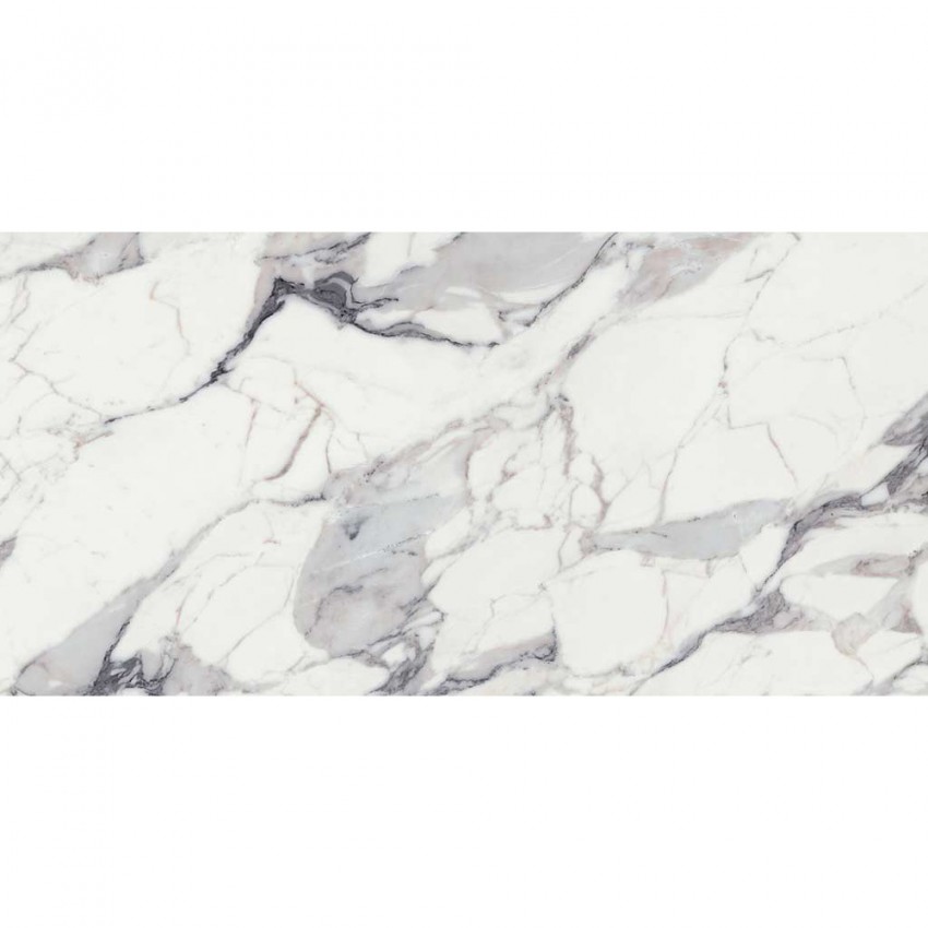 769859 ORIGINES DE REX ARGENT GLOSSY  RET (1 сорт) FLORIM GROUP фото 1