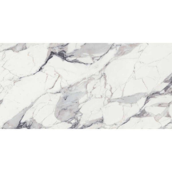 769859 ORIGINES DE REX ARGENT GLOSSY  RET FLORIM GROUP фото 1