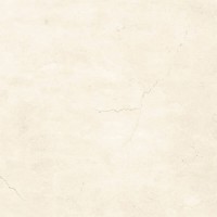 100381155 MARMOL CREMA BONE L 120X120(A) PORCELANOSA фото 1