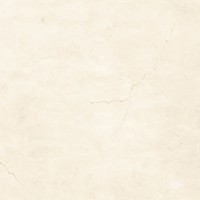 100381155 MARMOL CREMA BONE L 120X120(A) (1 сорт) PORCELANOSA (MC) фото 1
