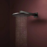 24520340 HG Raindance Alive S Верхній душ 300 1jet, brushed black chrome (1 сорт) HANSGROHE