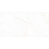 HARMONY SNE BROWN ALMERA CERAMICA-2 фото 3