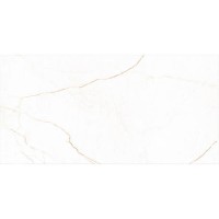 HARMONY SNE BROWN ALMERA CERAMICA-2 фото 4