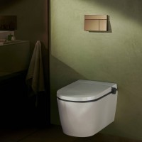 66003140 HG Змивна клавіша  iFrame Element E, brushed bronze (1 сорт) HANSGROHE фото 4