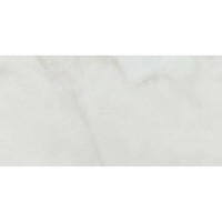 60x120 CR.SARDONYX WHITE PAMESA