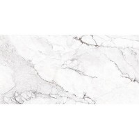 SUBLIME ICEBERG/60X120/EP PERONDA фото 3